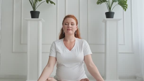 Young pregnant woman practicing yoga. Female sitting in lotus position. — Stock Video