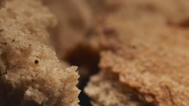 相机穿过破碎的自制面包 有机食品和面包店的概念 全麦面包 超级近景在4K Uhd — 图库视频影像