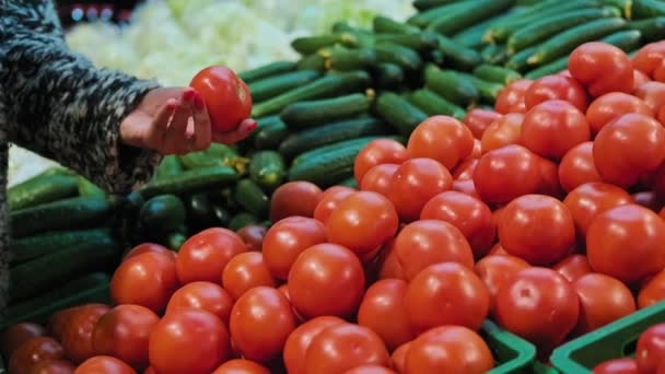 Afro-Amerikaanse vrouw koopt tomaten op de markt. Vrouwelijke die groenten kiezen — Stockvideo