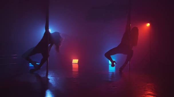 Mooie Dansende Meisjes Met Sexy Bodypole Dansen Slow Motion Twee — Stockvideo