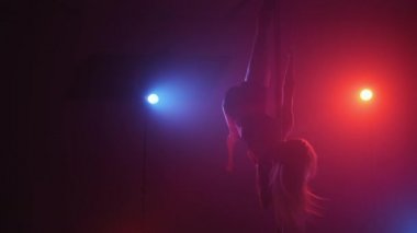 Kırmızı ve mavi spot ışıklarında cinsel siluet. Seksi vücutlu dansçı kız.