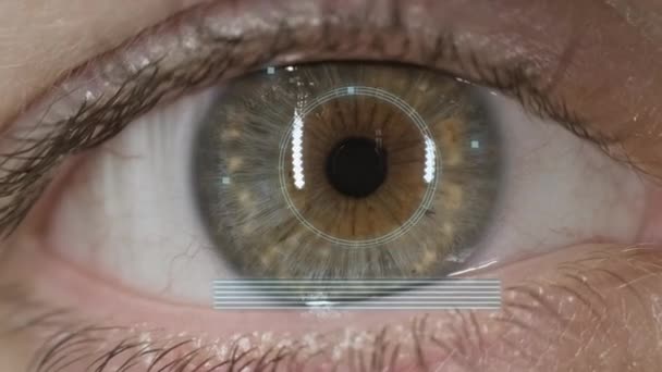 Människans ögonskanning och igenkänning. Futuristiskt digitalt gränssnitt. Säkerhetsskanning — Stockvideo
