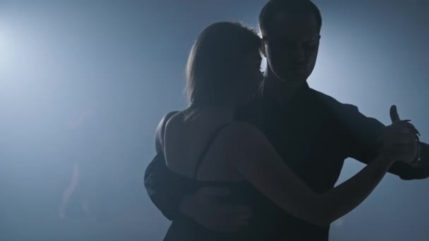 Elegante vrouw en man die professionele bewegingen doen. Silhouet van dansers — Stockvideo