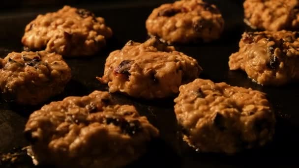 Oat Cookies Prunes Baking Oven Step Step Homemade Concept Timelapse — Stock Video