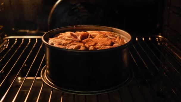 Pite a sütőben. A házi készítésű pite időzítése megsült. Sütőipari koncepció — Stock videók