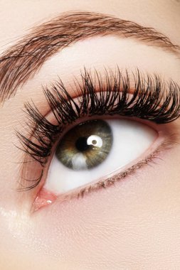 Aşırı uzun kirpik ve siyah liner makyaj kadın göz güzel makro çekim. Mükemmel bir şekil makyaj ve uzun kirpikler. Kozmetik ve makyaj. Closeup makro moda gözleri sima vurdu