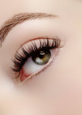 Aşırı uzun kirpik ve siyah liner makyaj kadın göz güzel makro çekim. Mükemmel bir şekil makyaj ve uzun kirpikler. Kozmetik ve makyaj. Closeup makro moda gözleri sima vurdu