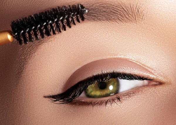 Närbild foto av vackra kvinnliga ögat med extrem lång Frans. Mascara, ögonskuggor, eyeliner tillämpa närbild. Kosmetiska borste. Ögon make-up tillämpas. Sexiga ögonfransarna makeup. — Stockfoto