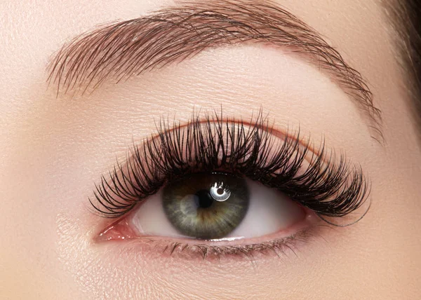 Aşırı uzun kirpik ve siyah liner makyaj kadın göz güzel makro çekim. Mükemmel bir şekil makyaj ve uzun kirpikler. Kozmetik ve makyaj. Closeup makro moda gözleri sima vurdu