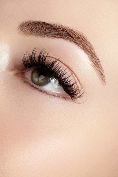 Beautiful macro shot of female eye with extreme long eyelashes and black liner makeup. Perfect shape make-up and long lashes. Cosmetics and make-up. Closeup macro shot of fashion eyes visage — Stock Photo, Image