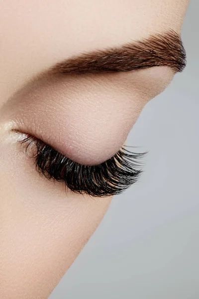 Beautiful macro shot of female eye with extreme long eyelashes and black liner makeup. Perfect shape make-up and long lashes. Cosmetics and make-up. Closeup macro shot of fashion eyes visage — Stock Photo, Image