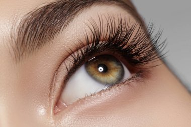 Kaşlar, kahverengi kaptırdın ve uzun kirpiklerini mükemmel şekli. Closeup makro moda dumanlı gözler sima vurdu