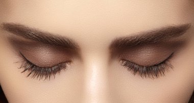 Perfect shape of eyebrows, brown eyeshadows and long eyelashes. Closeup macro shot of fashion smoky eyes visage clipart