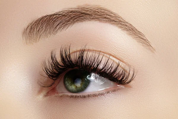 Kaşlar, kahverengi kaptırdın ve uzun kirpiklerini mükemmel şekli. Closeup makro moda dumanlı gözler sima vurdu