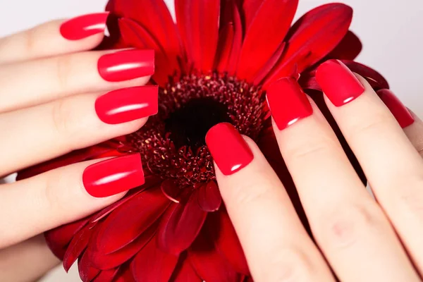 Belleza manos con manicura de moda roja y flor brillante. Hermoso esmalte rojo cuidado en las uñas — Foto de Stock