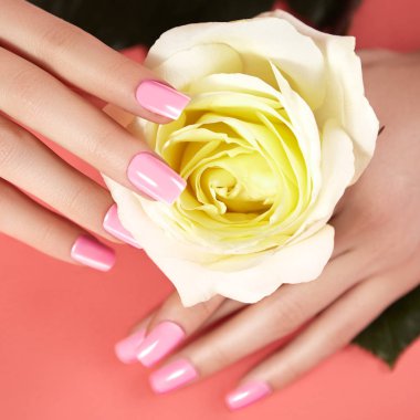 Pembe oje ile manikürlü tırnaklar. Nailpolish ile manikür. Moda sanat manikür, parlak jel cila. Tırnak Salonu
