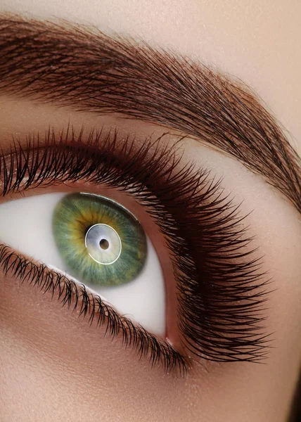 클로즈업 매크로 극단적인 긴 속눈썹을 가진 아름 다운 여성의 눈. 디자인, 자연 건강 속눈썹 채찍 깨끗 한 비전 — 스톡 사진