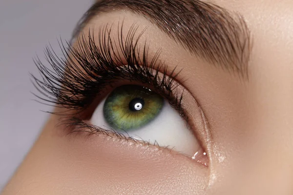 Belo olho feminino com cílios longos extremos, maquiagem de forro preto. Maquilhagem perfeita, cílios longos. Fechar os olhos da moda — Fotografia de Stock