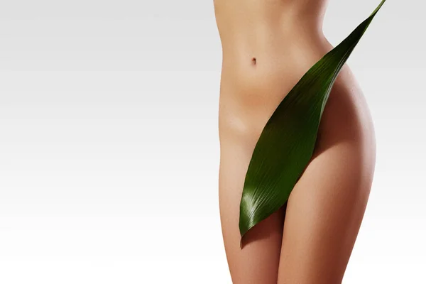 Ceretta per una bella donna. Bikini brasiliano depilazione laser linea un corpo sexy forme. Cura del corpo e pelle pulita — Foto Stock