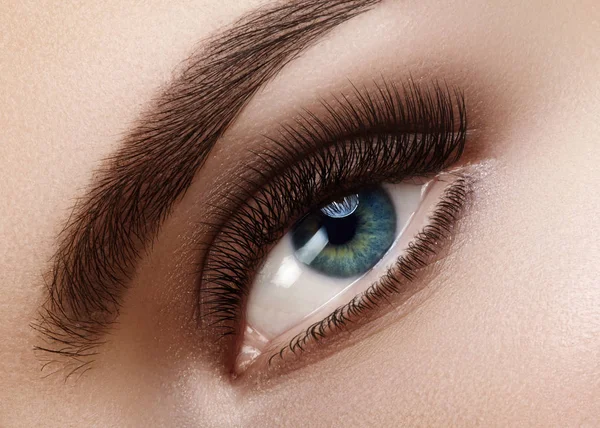 Nahaufnahme Makro schöne weibliche Auge mit perfekter Form Augenbrauen. saubere Haut, modisches natürliches Smoky Make-up. gute Sicht — Stockfoto