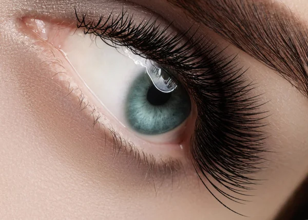 Wunderschönes weibliches Auge mit extrem langen Wimpern, schwarzem Liner Make-up. Perfektes Make-up, lange Wimpern. Augen in Nahaufnahme — Stockfoto