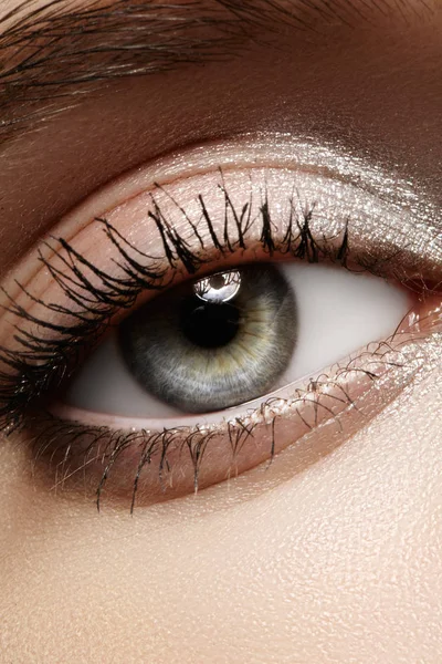 Wunderschönes Makro-weibliches Auge mit klassisch sauberem Make-up. Augenbrauen in perfekter Form, silberne Lidschatten. Kosmetik und Make-up — Stockfoto