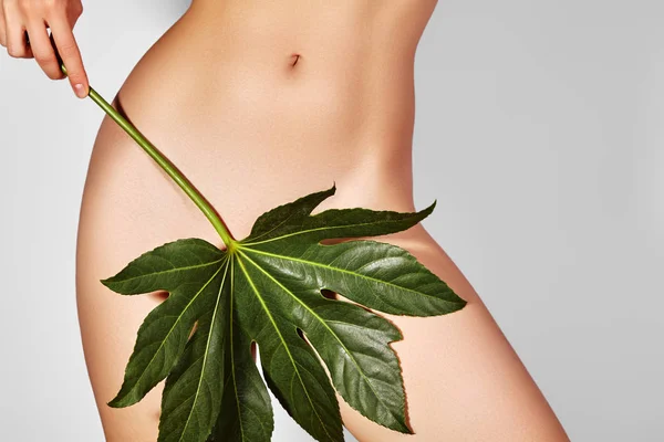 A depilar para uma mulher bonita. Biquíni brasileiro depilação a laser linha um corpo sexy formas. Cuidado corporal e pele limpa — Fotografia de Stock