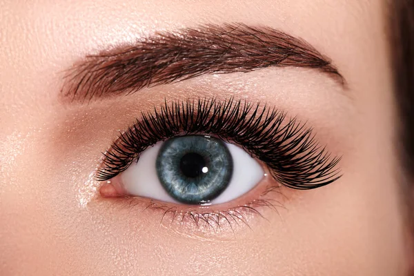 Schöne Makro weibliche Auge mit extrem langen Wimpern und zelebrieren Make-up. Perfekte Form Make-up, Mode lange Wimpern — Stockfoto