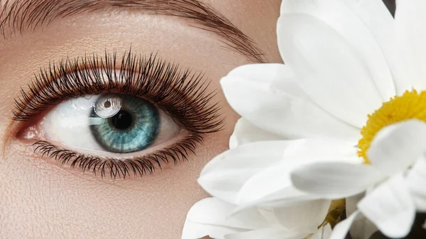 Nahaufnahme Eines Schönen Weiblichen Auges Mit Perfekten Wimpern Saubere Haut — Stockfoto