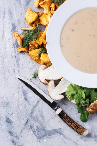 Home made mushroom soup — Stock Image Home made mushroom soup Stock Photo