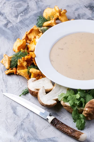 Home made mushroom soup — Stock Image Home made mushroom soup Royalty Free Stock Photos