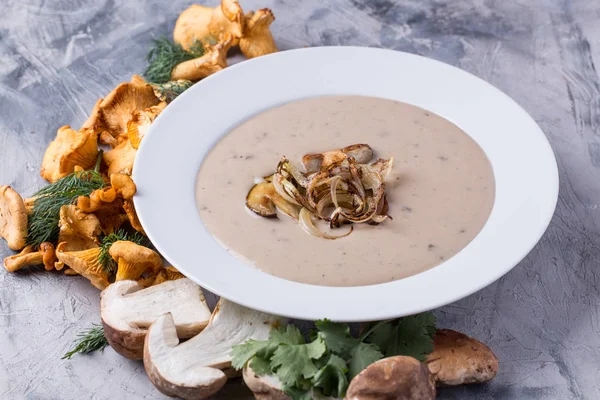 Home made mushroom soup — Stock Image Home made mushroom soup Stock Picture