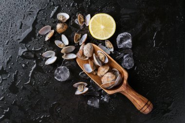 Limonlu VONGOLE kabuklu deniz ürünleri