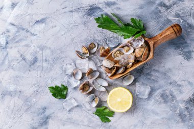 Limonlu VONGOLE kabuklu deniz ürünleri