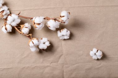 Geleneksel Asya mutfak gereçleri