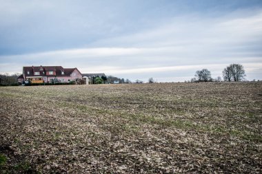 ağaçları ile izole arka plan