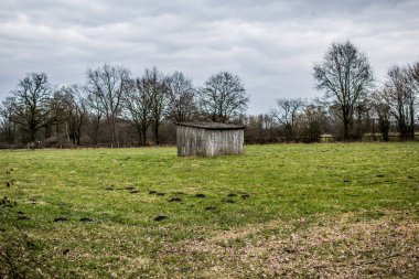 gökyüzü ve ağaçlar ile manzara