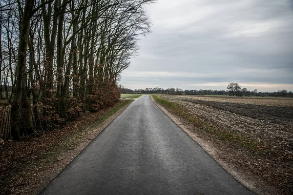 Longue route dans la forêt — Photo