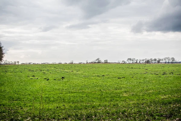 Paysage avec ciel et arbres — Photo