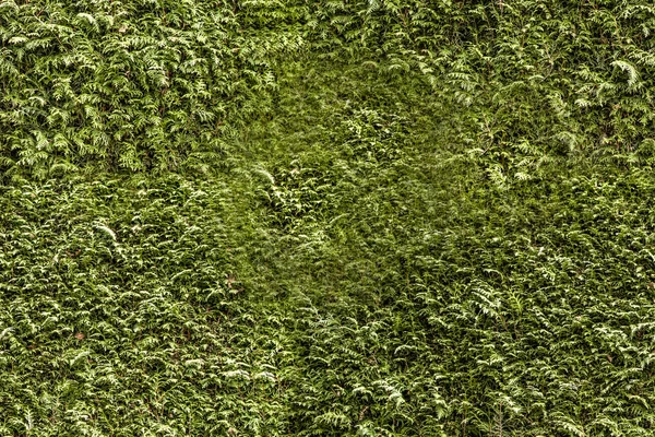 beyaz üzerine izole edilmiş işaret