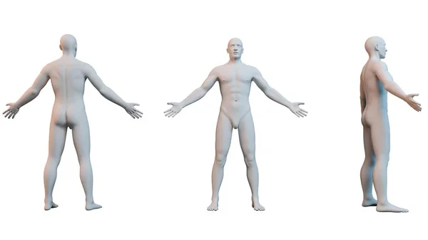 3D beyaz karakter çizimi