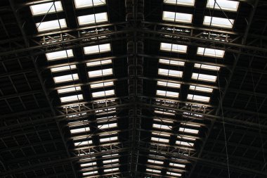 Büyük Tren İstasyonu çatı