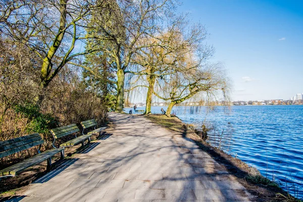 Rami d'albero sull'acqua del lago — Foto Stock