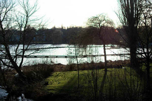 Nel parco degli hamburg — Foto Stock