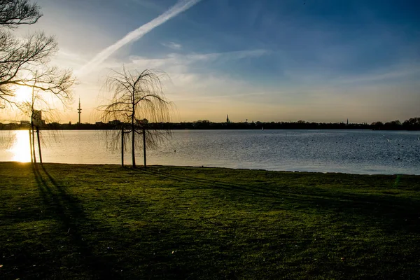 Ramos de árvores na água do lago — Fotografia de Stock