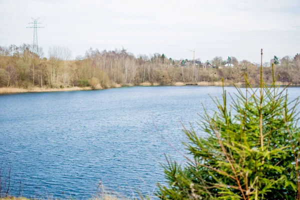 Rami d'albero sull'acqua del lago — Foto Stock