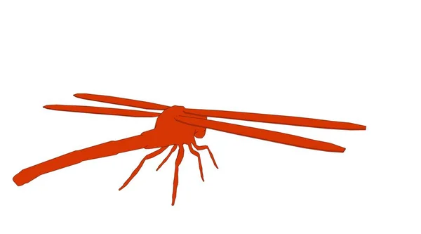 Konturerad dragonfly isolerad på vit 3d-rendering — Stockfoto