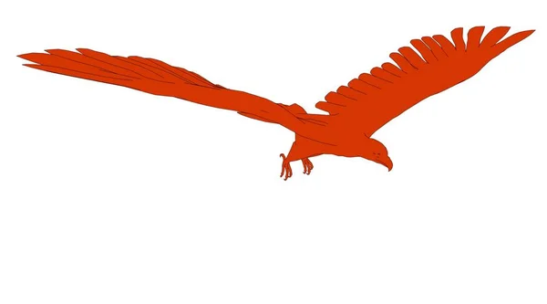 Konturerad eagle isolerad på vit 3d-rendering — Stockfoto