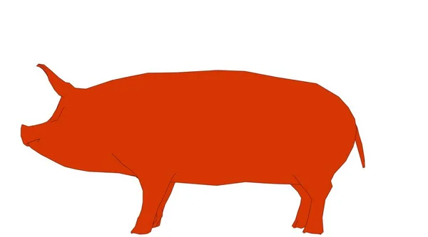 Викладена свиня ізольована на білому 3d рендерингу — стокове фото