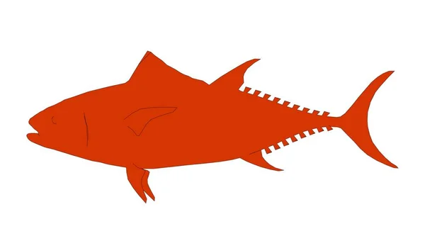Konturerad fisk isolerad på vit 3d-rendering — Stockfoto